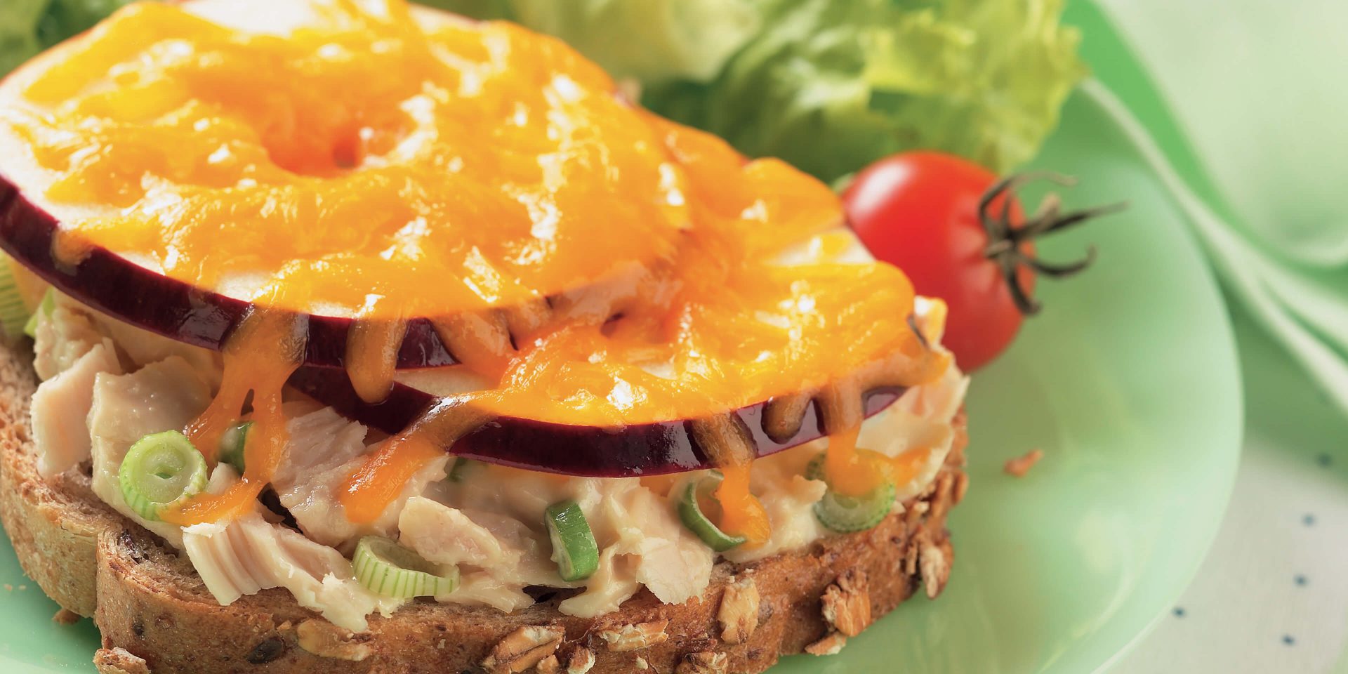 Tuna and Apple Melt - Clover Leaf