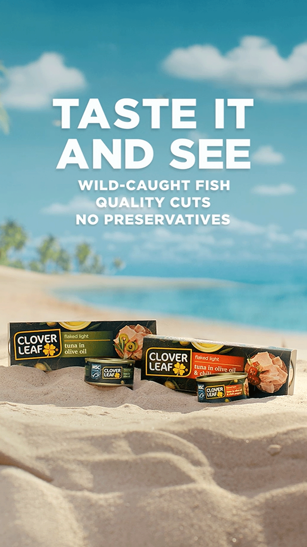 Clover Leaf's Flaked Light Tuna in Olive Oil - Taste It And See!